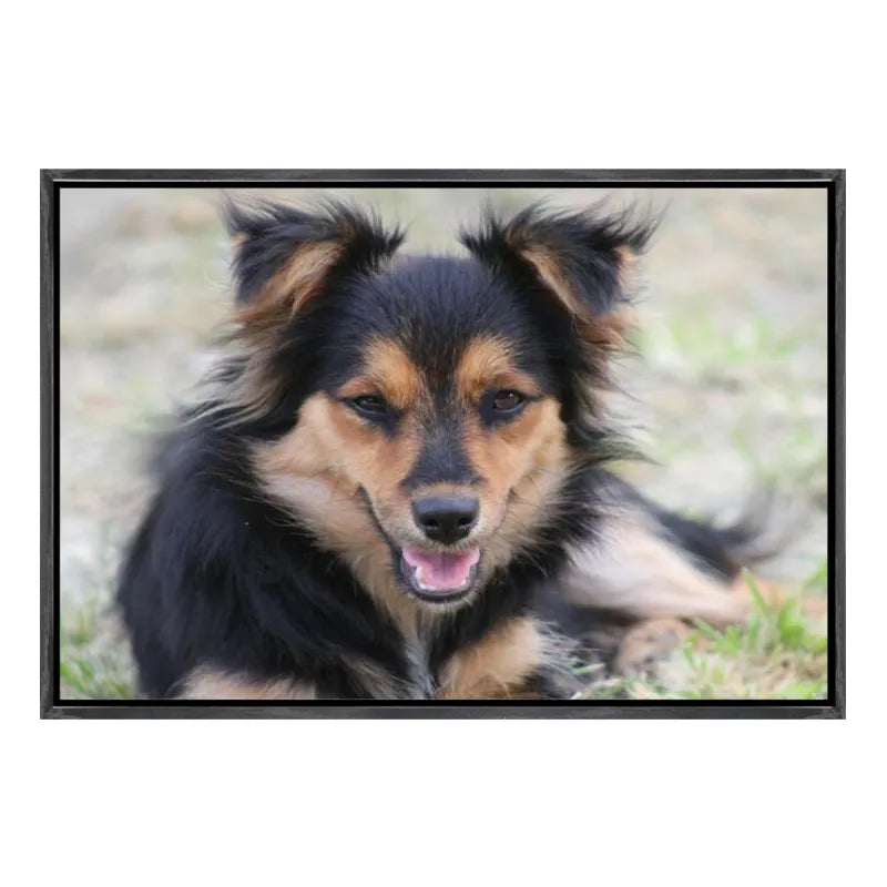 Custom 4:3 Floating Frame Canvas, Personalized Pet Portrait Wall Art,  Modern Gallery Home Decor