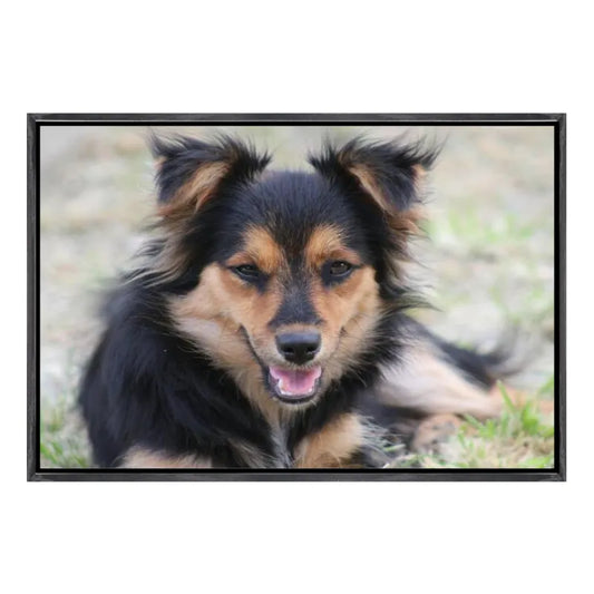 Custom 4:3 Floating Frame Canvas, Personalized Pet Portrait Wall Art,  Modern Gallery Home Decor