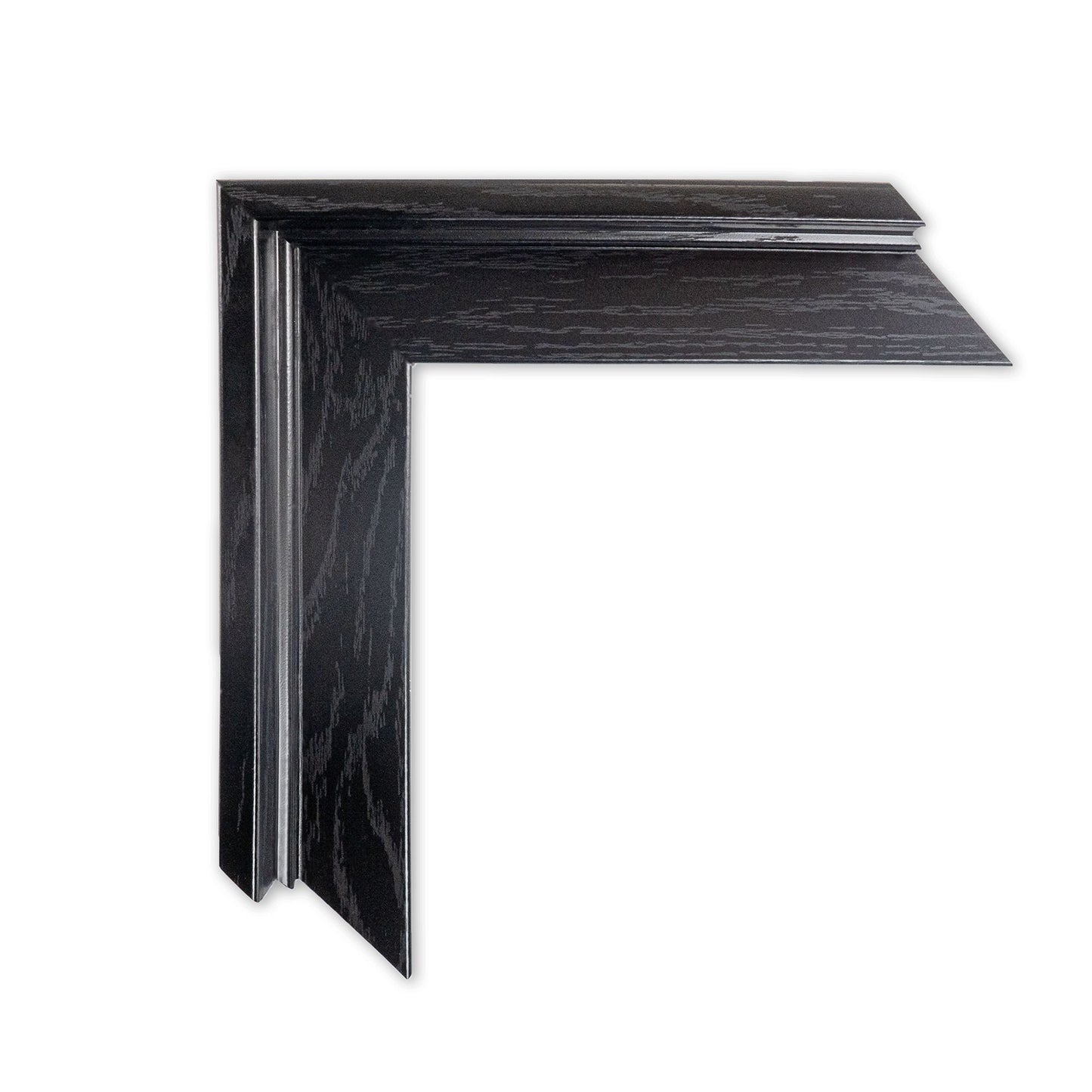 Custom 4:3 Floating Frame Canvas, Personalized Pet Portrait Wall Art,  Modern Gallery Home Decor