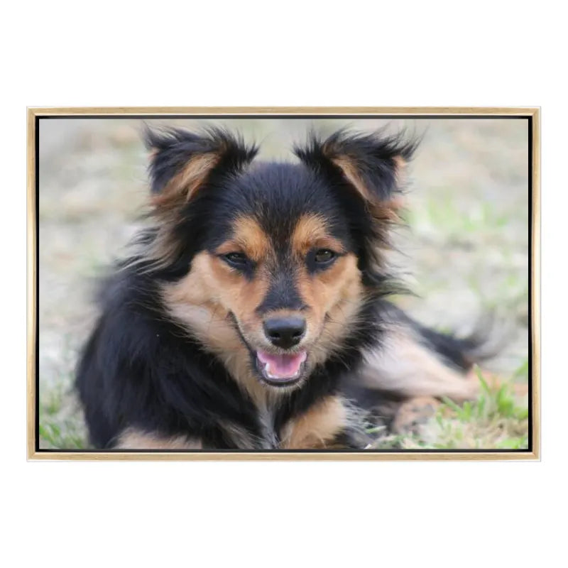 Custom 4:3 Floating Frame Canvas, Personalized Pet Portrait Wall Art,  Modern Gallery Home Decor
