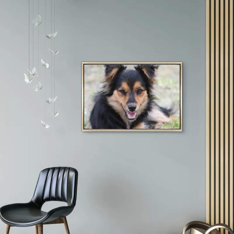 Custom 4:3 Floating Frame Canvas, Personalized Pet Portrait Wall Art,  Modern Gallery Home Decor