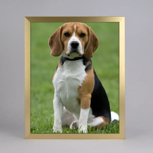 Custom Pet Portrait with Modern Frame - Personalized Dog & Cat Art from Photo - 4:5 Vertical Wall Decor Gift