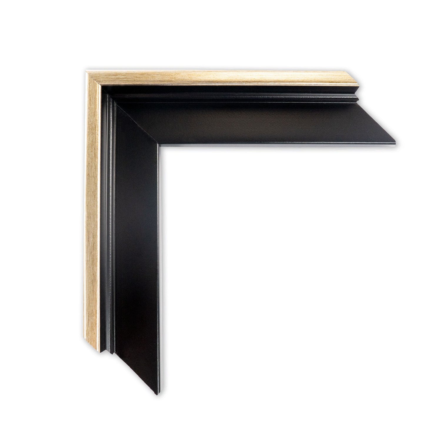 Custom Pet Portrait - Museum Quality Floating Frame Canvas 1:1