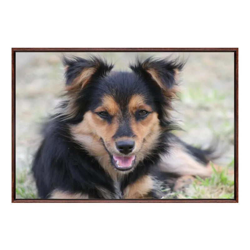 Custom 4:3 Floating Frame Canvas, Personalized Pet Portrait Wall Art,  Modern Gallery Home Decor
