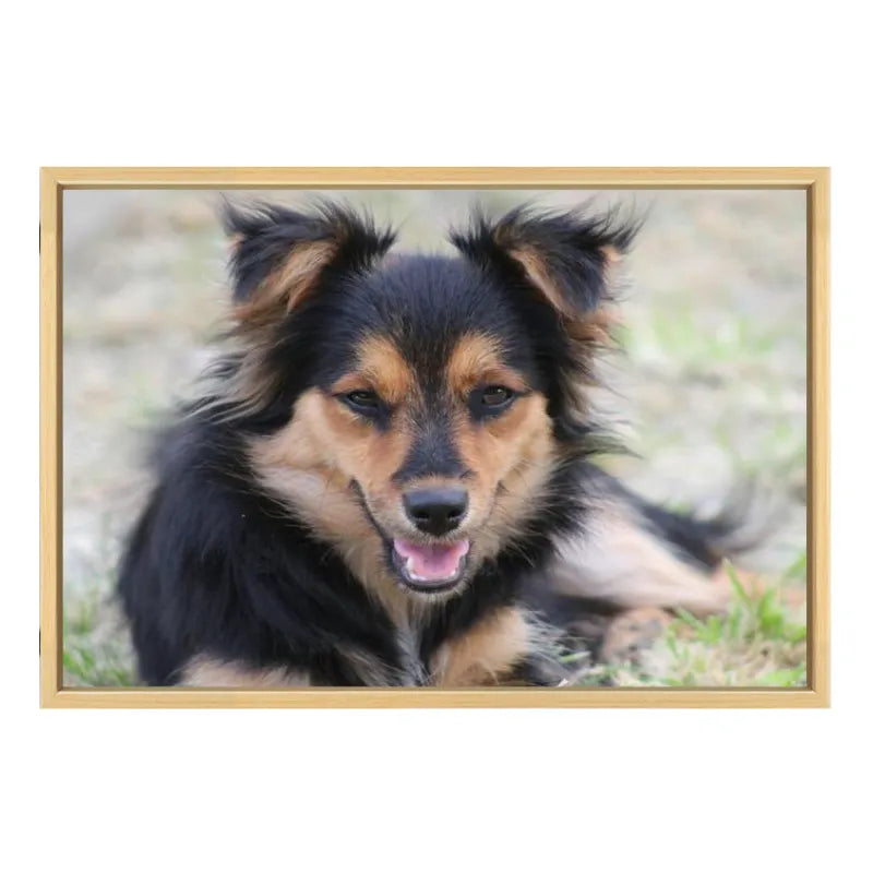 Custom 4:3 Floating Frame Canvas, Personalized Pet Portrait Wall Art,  Modern Gallery Home Decor