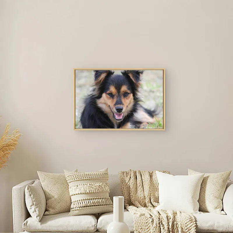 Custom 4:3 Floating Frame Canvas, Personalized Pet Portrait Wall Art,  Modern Gallery Home Decor