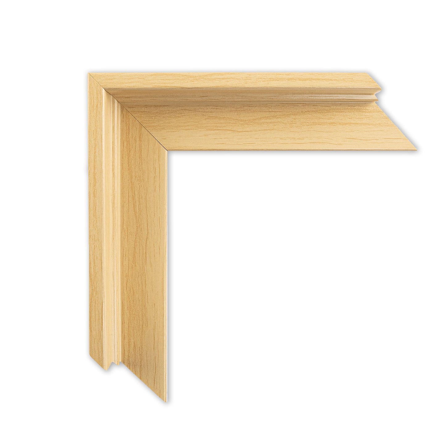 Custom 4:3 Floating Frame Canvas, Personalized Pet Portrait Wall Art,  Modern Gallery Home Decor